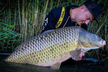 Stunning Photos From Swim 11 - 1