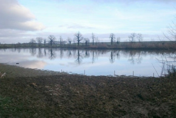 Swim 5 Under Construction - 2