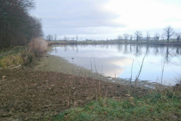 Swim 5 Under Construction - 1