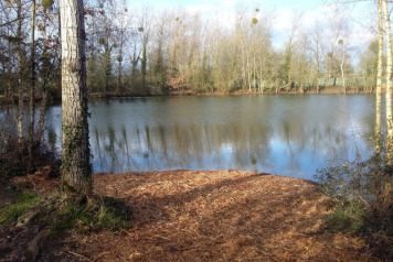 Season starts with a bang!!! - 1