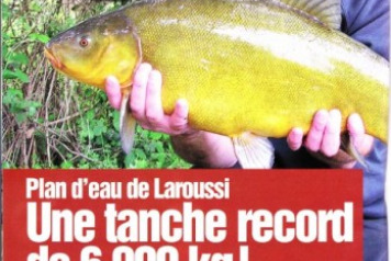 Laroussi tench is a new French record! - 2