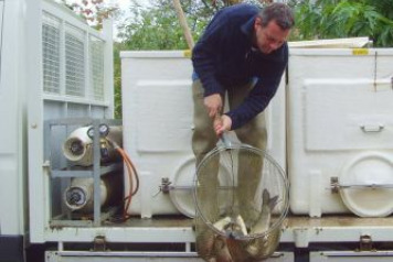 Winter News from Mas Bas - 1