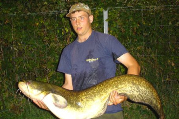 Another Fat Cat Hits the Bank!!  - 2