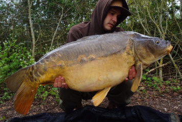 7 Carp Over 47lb - 1