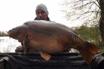 7 Carp Over 47lb - 2