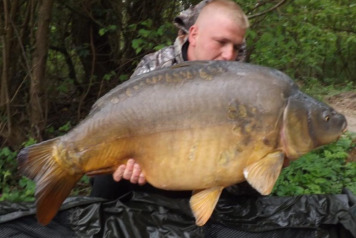 7 Carp Over 47lb - 5