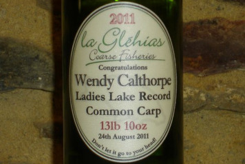 Wendy Gets the Ball Rolling! - 2