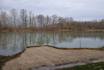 Additional Single Swim - 2