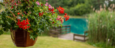 Accommodation photos photo 3