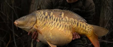 Fish photos photo 2 Fullys Lake