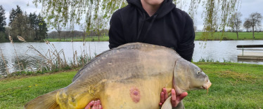 Fish photos photo 2 Mystique