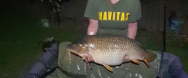 Fish photos photo 2 Linstant