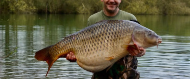 Fish photos photo 3 Emeraude