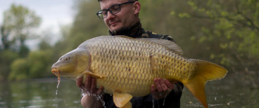 Fish photos photo 2 Emeraude