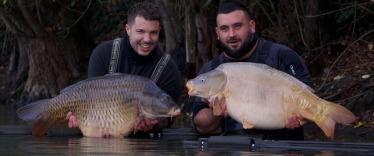 Fish photos photo 2 Emeraude