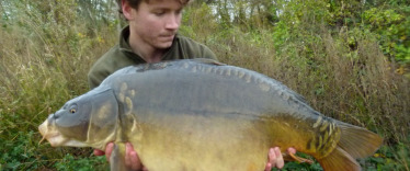 Fish photos photo 2 Souvenirs