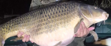 Fish photos photo 3 Souvenirs