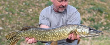 Fish photos photo 3 Cerises