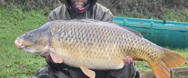 Fish photos photo 2 Carrouge