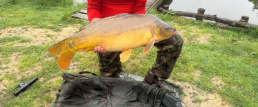 Fish photos photo 2 Lakeview