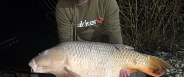 Fish photos photo 2 Ilot