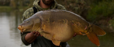 Fish photos photo 2 Lassicourt