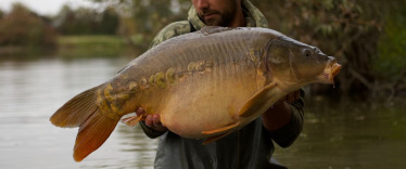 Fish photos photo 3 Lassicourt