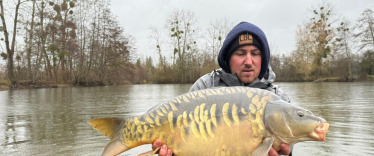 Fish photos photo 2 Le Repaire