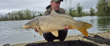 Fish photos photo 2 Le Sauci