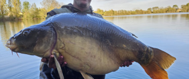 Fish photos photo 2 Laroussi