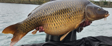 Fish photos photo 2 Laroussi