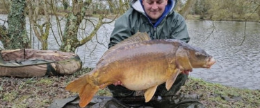 Fish photos photo 3 Lillypool