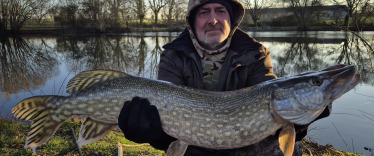 Fish photos photo 3 Lillypool