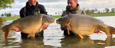 Fish photos photo 2 Boux