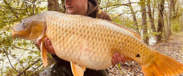 Fish photos photo 2 Brocard Small