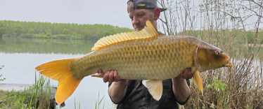 Fish photos photo 3 Brocard Large