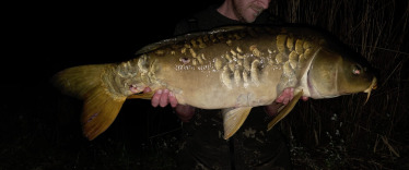 Fish photos photo 2 Brocard Large