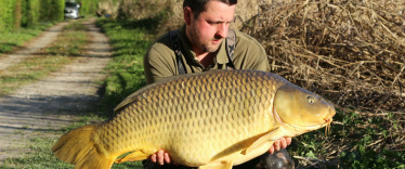 Fish photos photo 2 Brocard Large