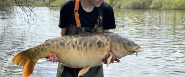 Fish photos photo 3 Brie