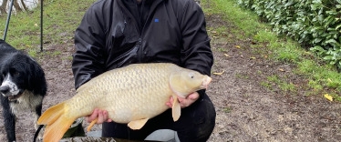 Fish photos photo 2 Lillybelle