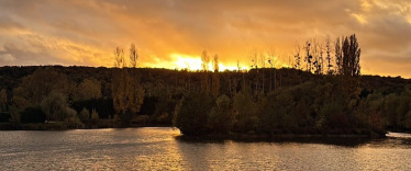 Fish photos photo 2 Deux Iles