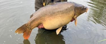 Fish photos photo 3 La Fonte