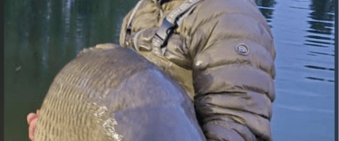 Fish photos photo 2 Seigneurie