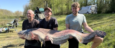 Fish photos photo 2 Cailleaux