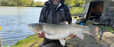 Fish photos photo 3 Cailleaux