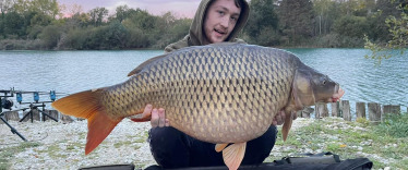 Fish photos photo 2 Golden Carp Lake