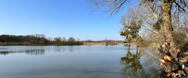 Lake photos photo 3 Le Sauci