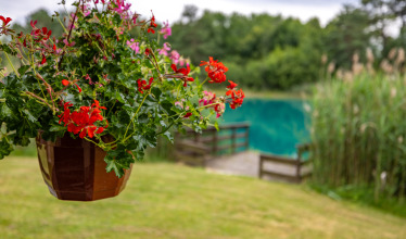 Accommodation photos photo 3 Golden Carp Lake
