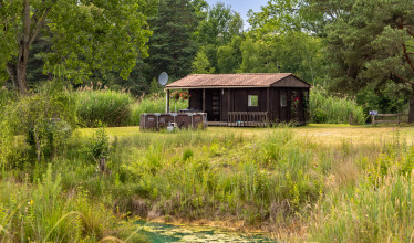 Accommodation photos photo 2 Golden Carp Lake