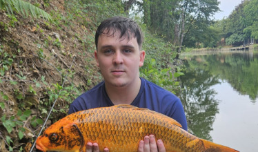 Fish photos photo 2 Linstant